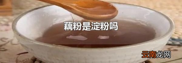 藕粉是淀粉吗