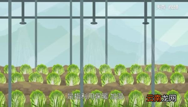 什么是温室栽培 如何温室栽培