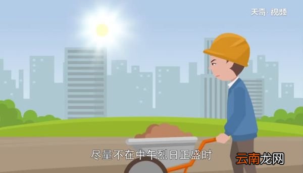 数伏是小暑和大暑之间吗 小暑大暑和数伏天有什么区别