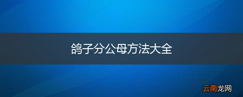 鸽子分公母方法大全