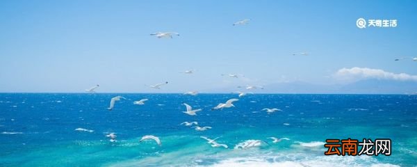 滚滚长江东逝水浪花淘尽英雄全诗 滚滚长江东逝水浪花淘尽英雄的全诗