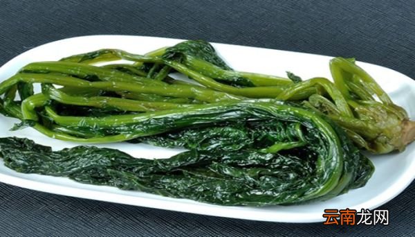 雪菜是什么菜雪菜有什么营养价值