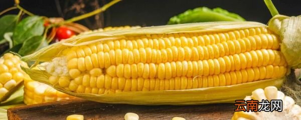 玉米属于什么类 玉米所属类别是什么
