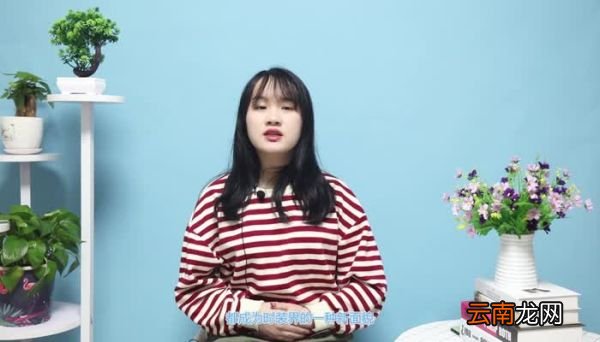 ysl是什么牌子 ysl中文品牌名