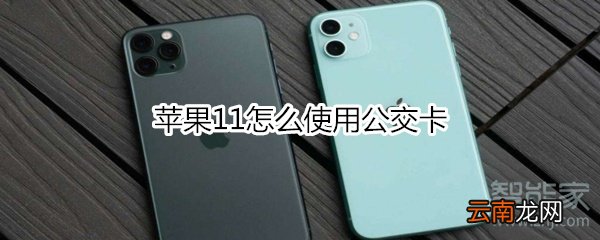 苹果11怎么使用公交卡