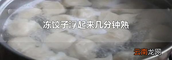 冻饺子浮起来几分钟熟