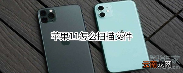 苹果11怎么扫描文件