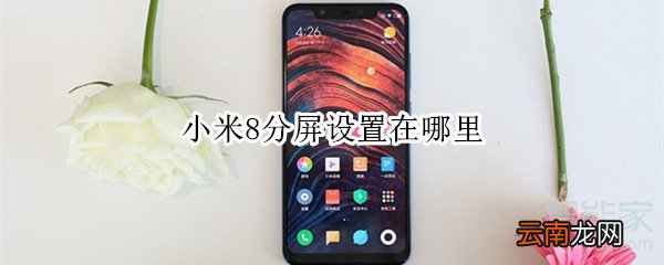 小米8分屏设置在哪里