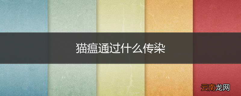 猫瘟通过什么传染