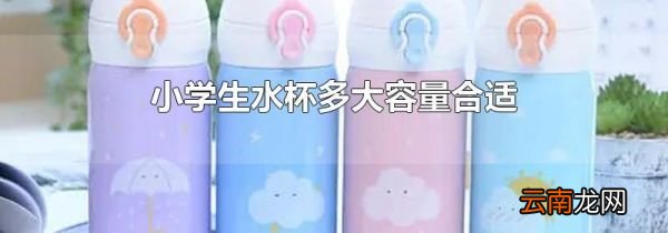 小学生水杯多大容量合适