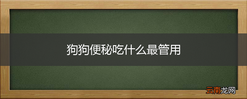 狗狗便秘吃什么最管用