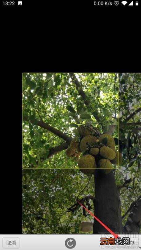 网商银行app在哪修改头像？网商银行个人头像设置方法