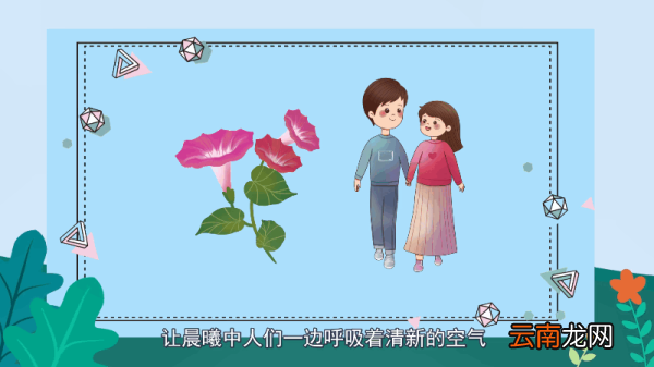 喇叭花花语 喇叭花花语是什么