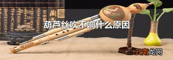 葫芦丝吹不响什么原因