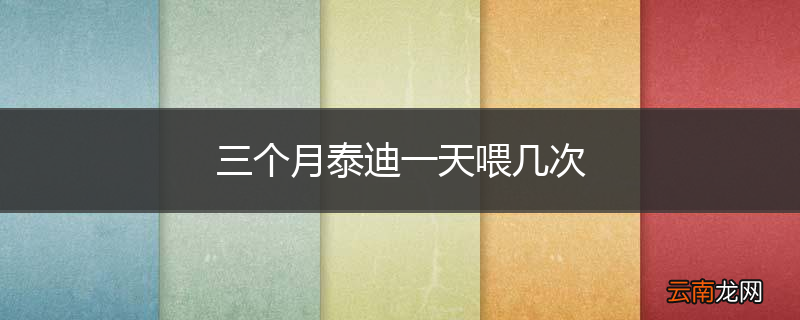 三个月泰迪一天喂几次