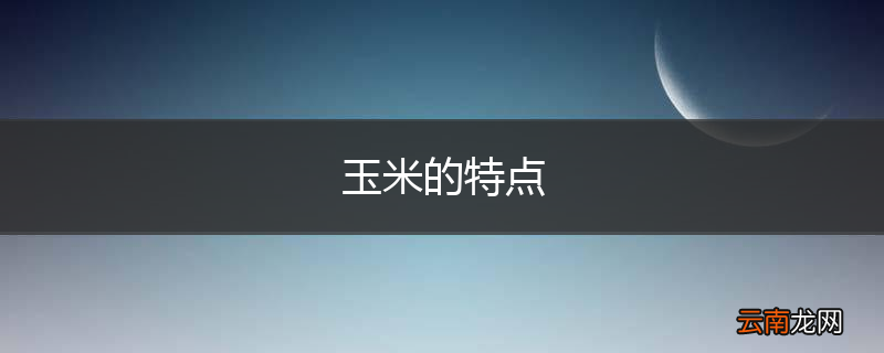 玉米的特点