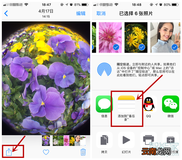 苹果11相册怎么设置密码