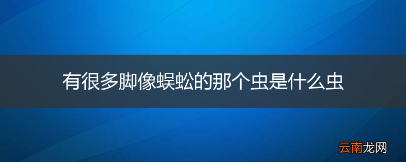 有很多脚像蜈蚣的那个虫是什么虫