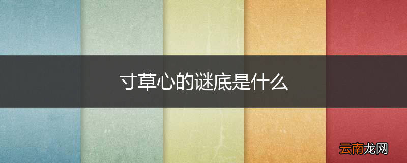 寸草心的谜底是什么