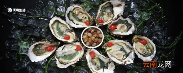 剥好的牡蛎肉怎么保存 保存剥好的牡蛎肉的方法