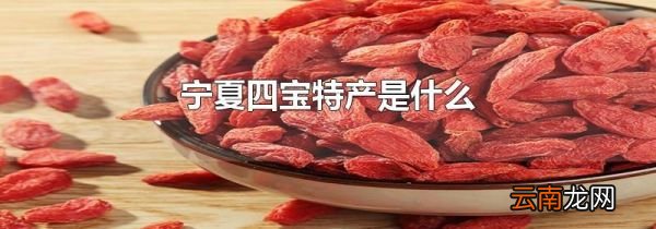 宁夏四宝特产是什么