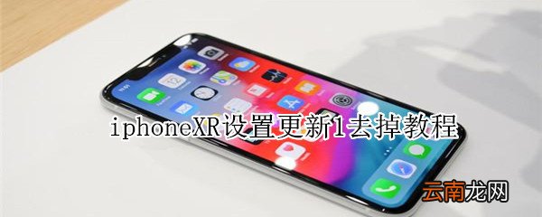 iphoneXR设置更新1去掉