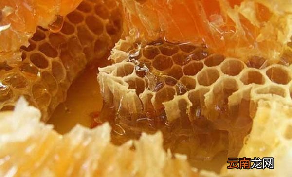 蜂胶有什么作用 吃蜂胶有哪些好处