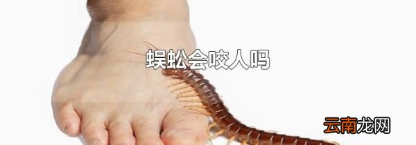 蜈蚣会咬人吗