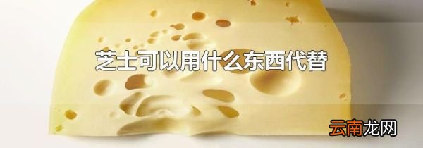 芝士可以用什么东西代替