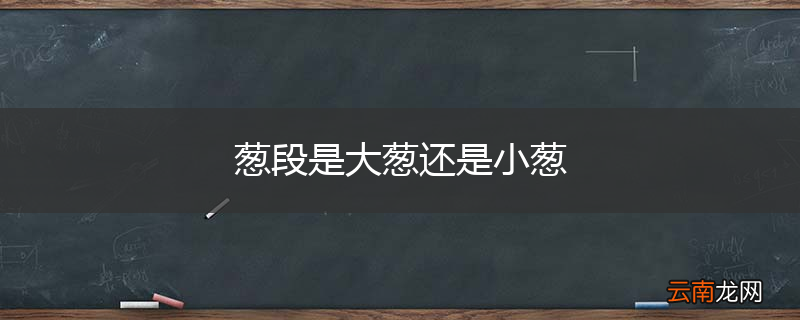 葱段是大葱还是小葱