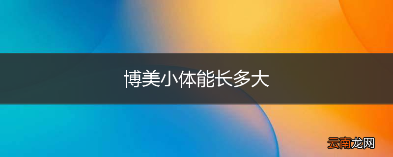 博美小体能长多大