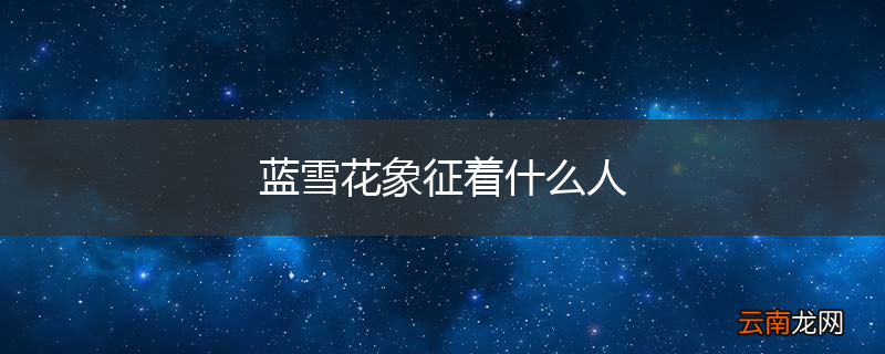 蓝雪花象征着什么人