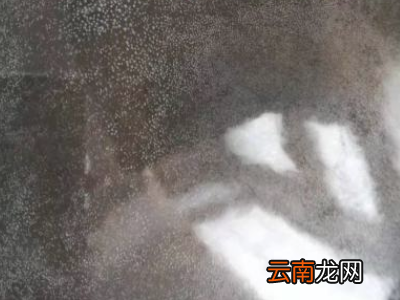 怎么看水烧开了没