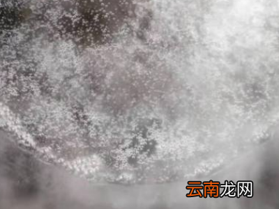怎么看水烧开了没