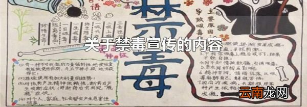 关于禁毒宣传的内容