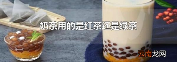 奶茶用的是红茶还是绿茶