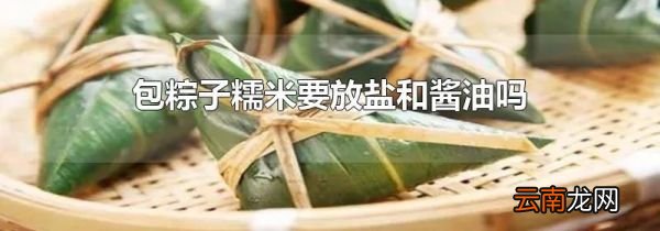 包粽子糯米要放盐和酱油吗