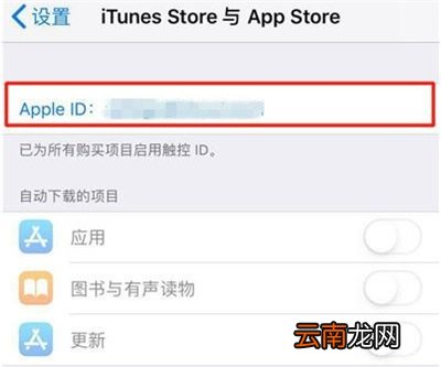 苹果11怎么取消订阅自动续费