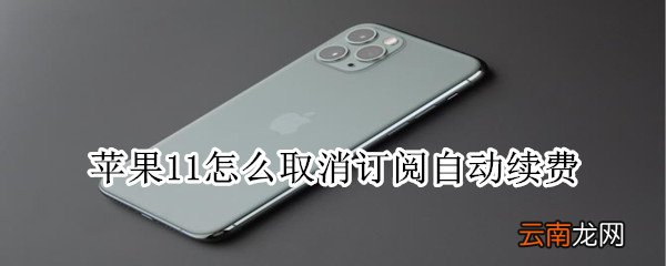 苹果11怎么取消订阅自动续费