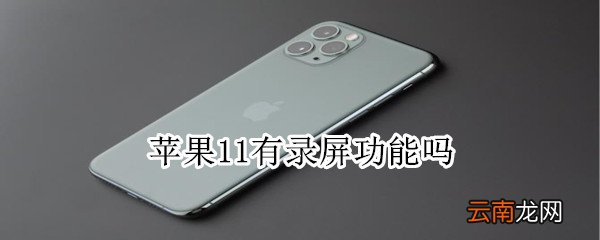 苹果11有录屏功能吗
