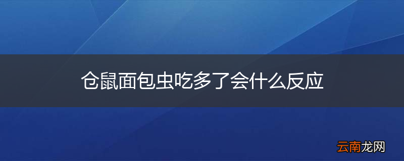 仓鼠面包虫吃多了会什么反应