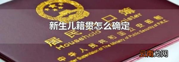新生儿籍贯怎么确定