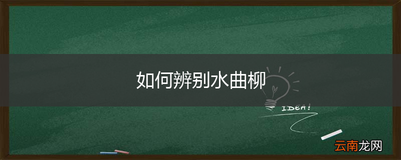 如何辨别水曲柳