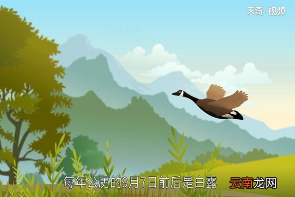 白露是什么意思