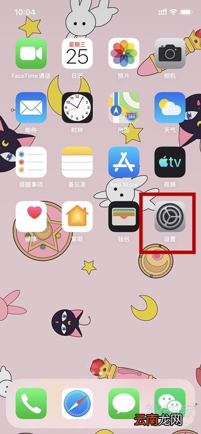 苹果11电话号码怎么导入