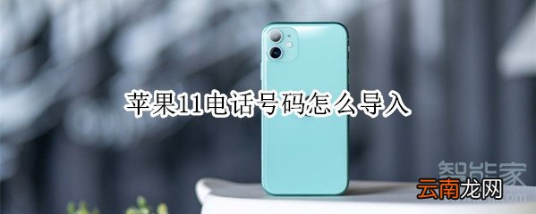 苹果11电话号码怎么导入