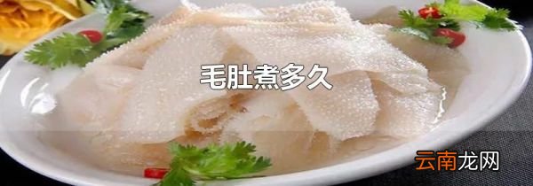 毛肚煮多久