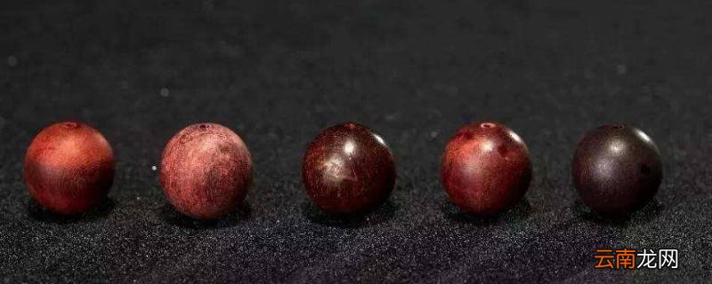 小叶紫檀有金丝吗