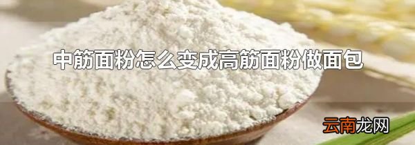 中筋面粉怎么变成高筋面粉做面包