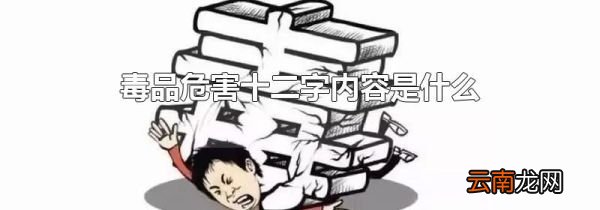 毒品危害十二字内容是什么